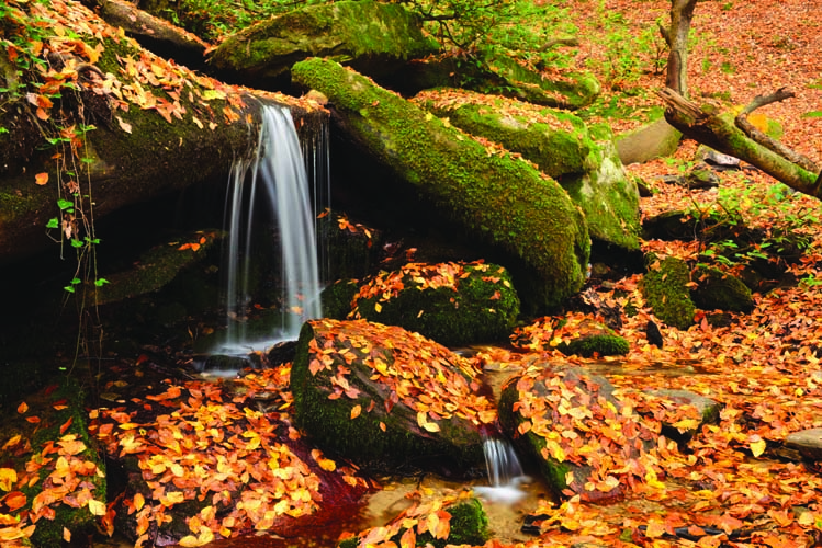 Bursa Coğrafyası Ve Suuçtu Tabiat Parkı 1
