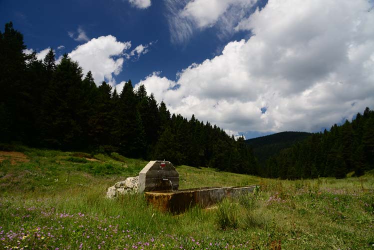 Yerel Olan Evrenseldir (4) 7