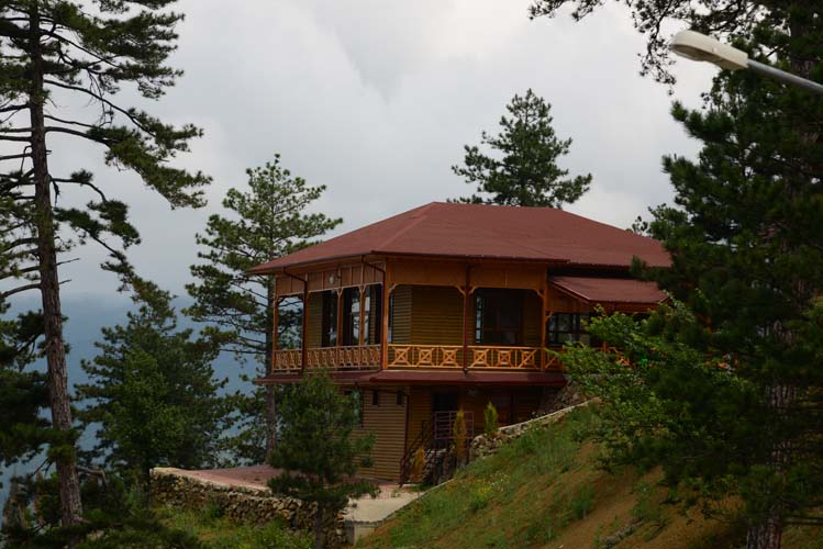 Ihlamur Kokulu Yenice 5