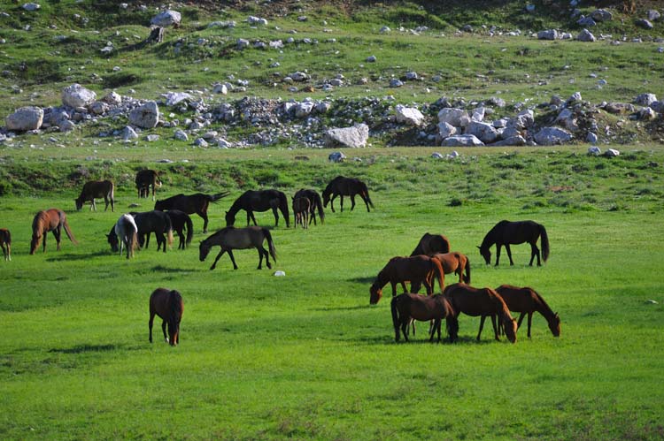 Anamas Coğrafyasının Bileşenleri (2) 9