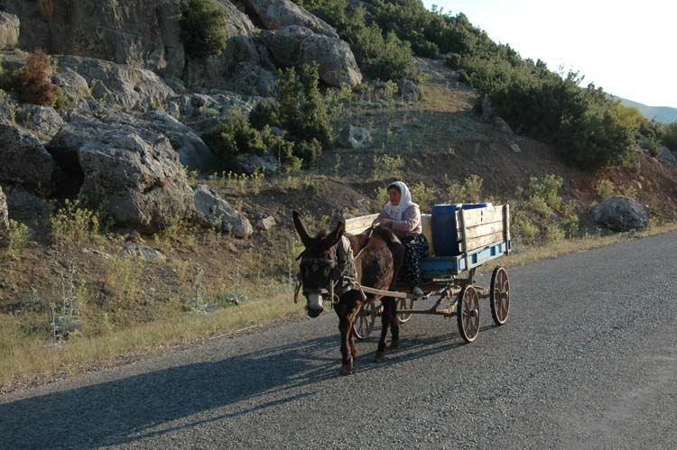 Kadın Ana Dildir! 1