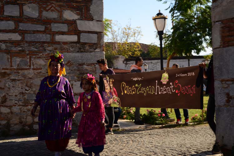 Milas Zeytin Hasat Şenliği 2