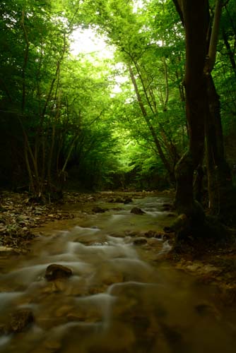 Tek Perdelik Bir Oyun: Su, Su Gibi Akıp Gitti 5