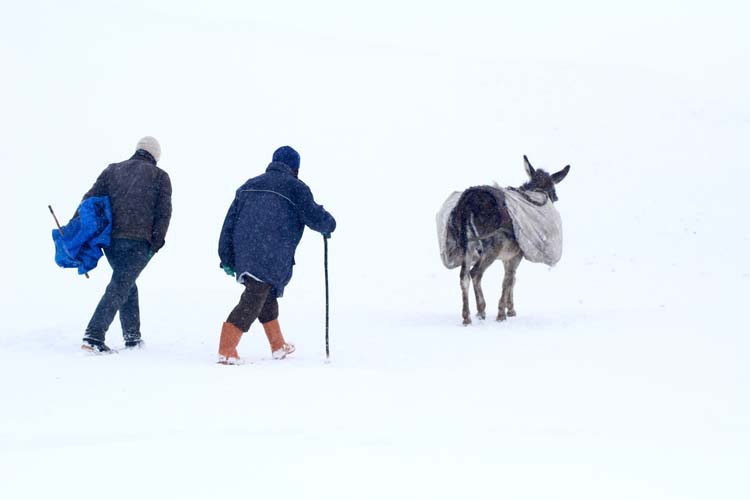 Bilikana Jori Mağara yaşam alanları 1