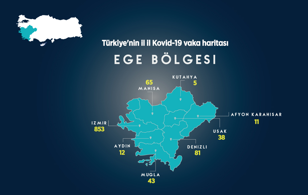Türkiye'nin İl İl Kovid-19 Vaka Haritası 7