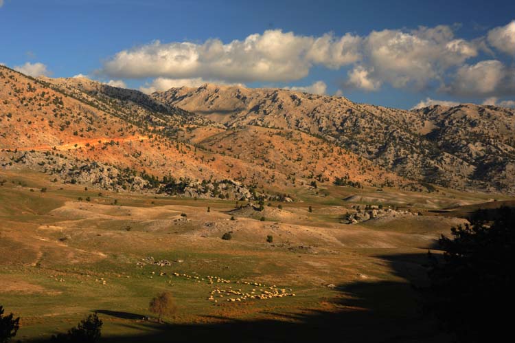 Anamas Coğrafyasının Bileşenleri (2) 8