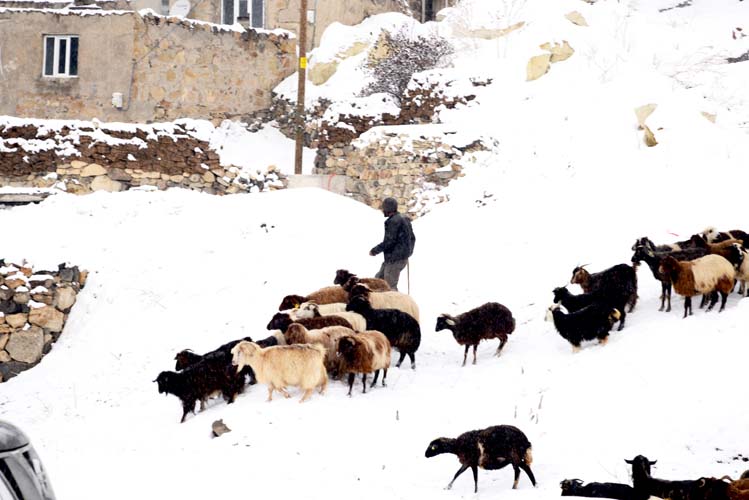 Bilikana Jori Mağara yaşam alanları 8