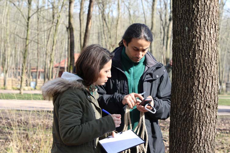 Ormanya Gelişerek Büyüyor 6