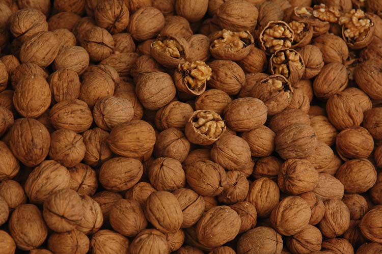 Yerel Olan Evrenseldir (3) 1