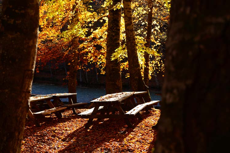 Bolu Doğası ve İklim 7