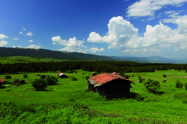 Karadeniz'in Zeugma'sı Hadrianoupolis (1) 1