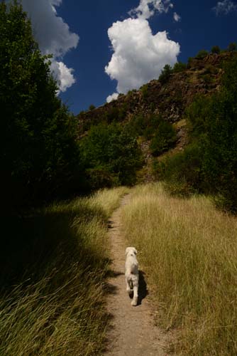 Boyabat Bazalt Kayalıkları 3