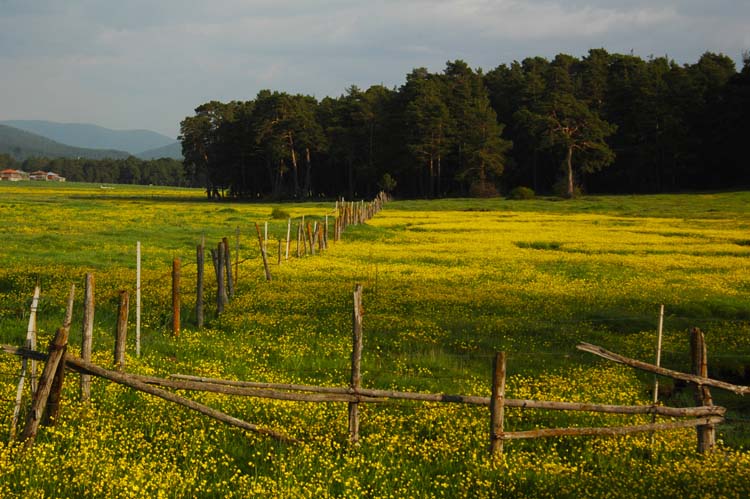 Bolu Doğası ve İklim 1
