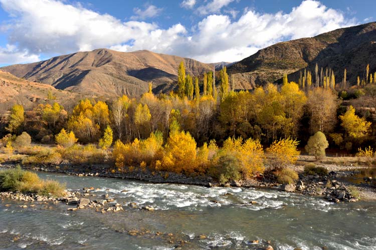Çoruh Ne Yana Düşer Usta? 1