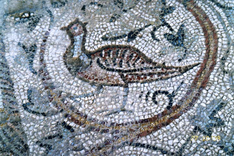 Karadeniz'in Zeugma'sı Hadrianoupolis (2) 6