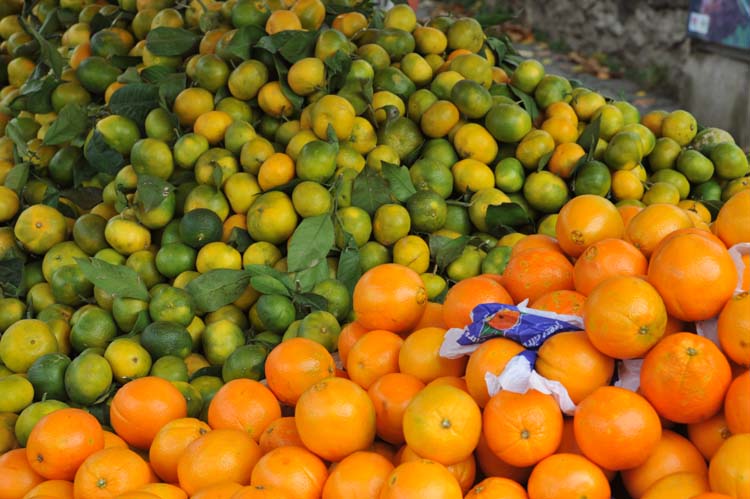 Yerel Olan Evrenseldir (1) 5