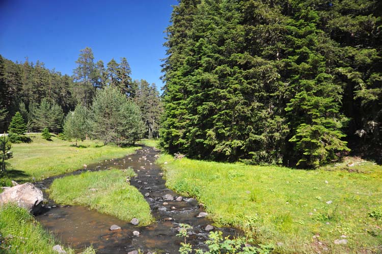 Bolu Coğrafyasının Diğer Etkenleri 2