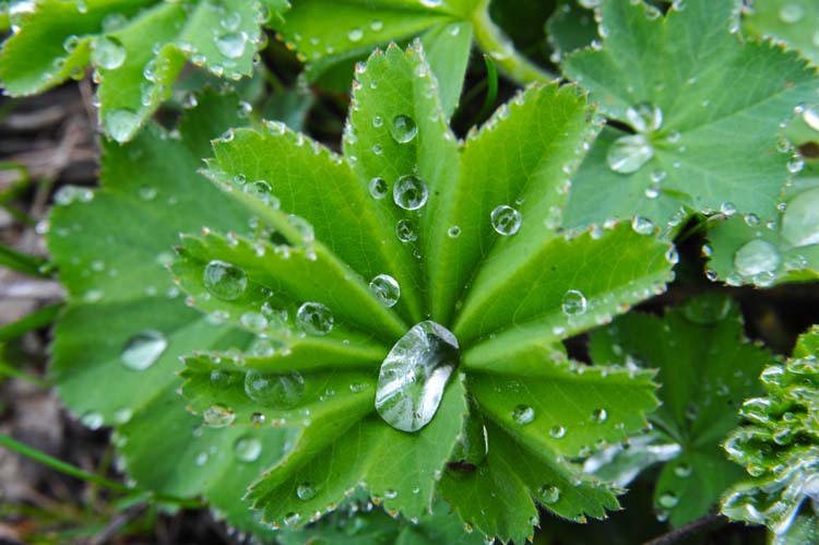 Bolu Coğrafyasının Diğer Etkenleri 6