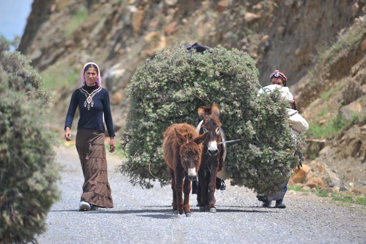 Kadın Ana Dildir! 5