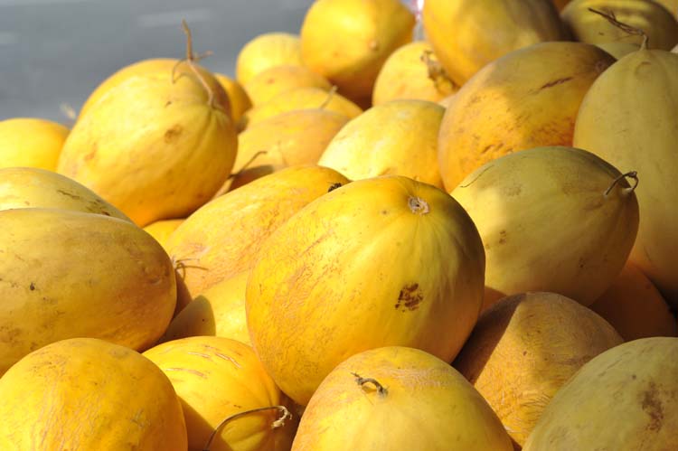 Yerel Olan Evrenseldir (3) 2