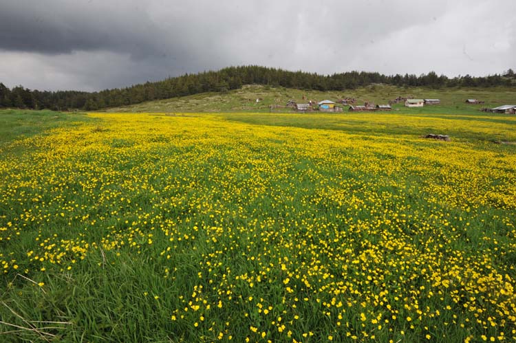 Fırat'ın Kenarında 4