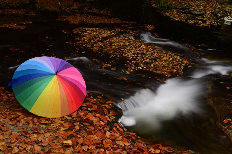 Bursa Coğrafyası Ve Suuçtu Tabiat Parkı 2