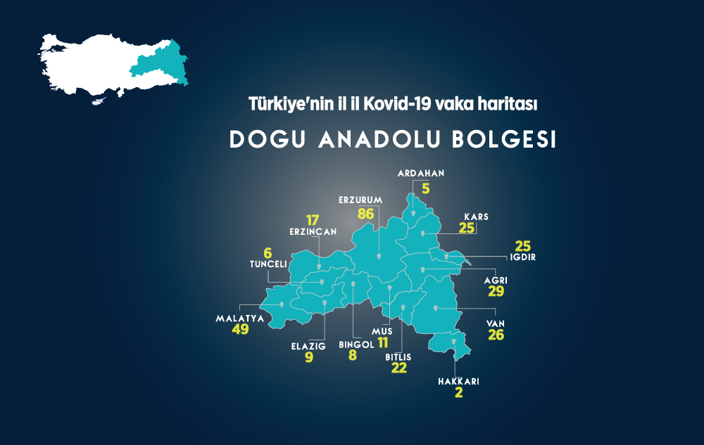 Türkiye'nin İl İl Kovid-19 Vaka Haritası 4