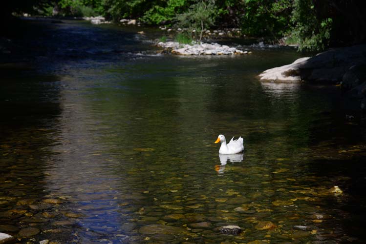 Fırat Havzası'nın en güzel vadisi: Kozluk 9
