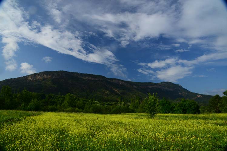 Fırat'ın Kenarında 2
