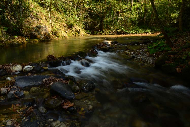 Tek Perdelik Bir Oyun: Su, Su Gibi Akıp Gitti 2