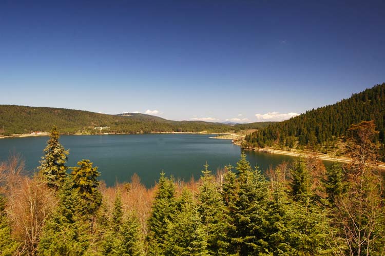 Bolu Coğrafyasının Diğer Etkenleri 1