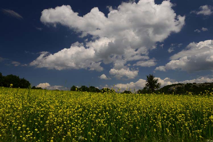 Doğa Turizminde Bilecik Dönemi Başlıyor 4