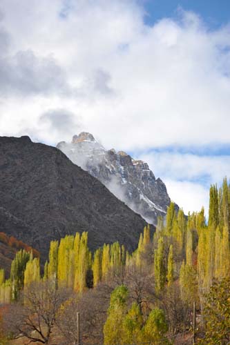 Çoruh Ne Yana Düşer Usta? 5