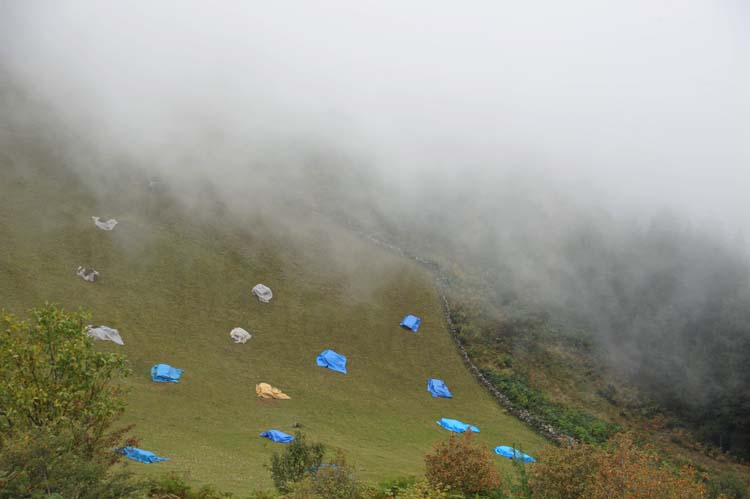 Bakışlara Anlam Yüklenir! 5