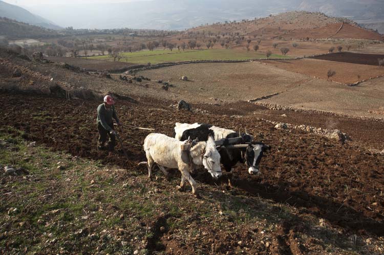 Fırat'ın Kenarında 3
