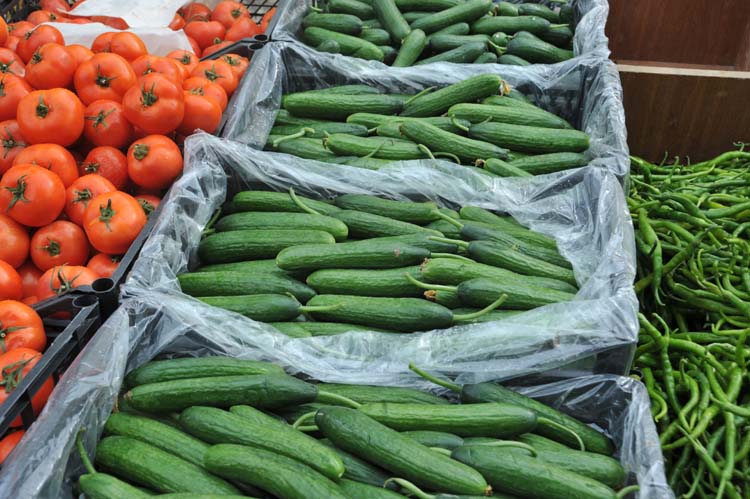 Yerel Olan Evrenseldir (2) 3