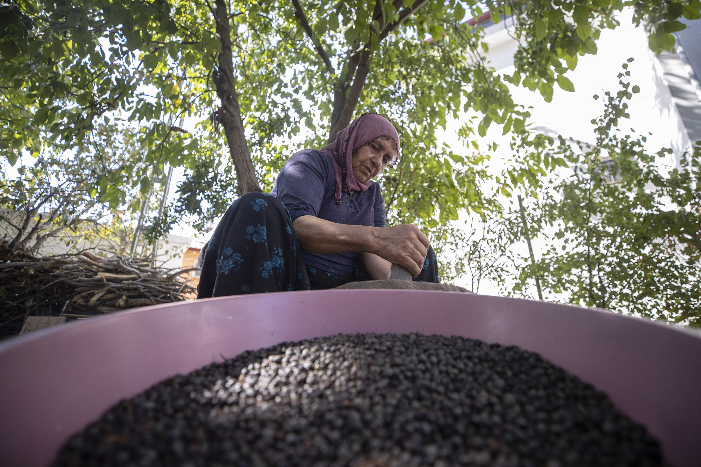 Güz gelince köylüler dağlara çıkıp topluyor! 4