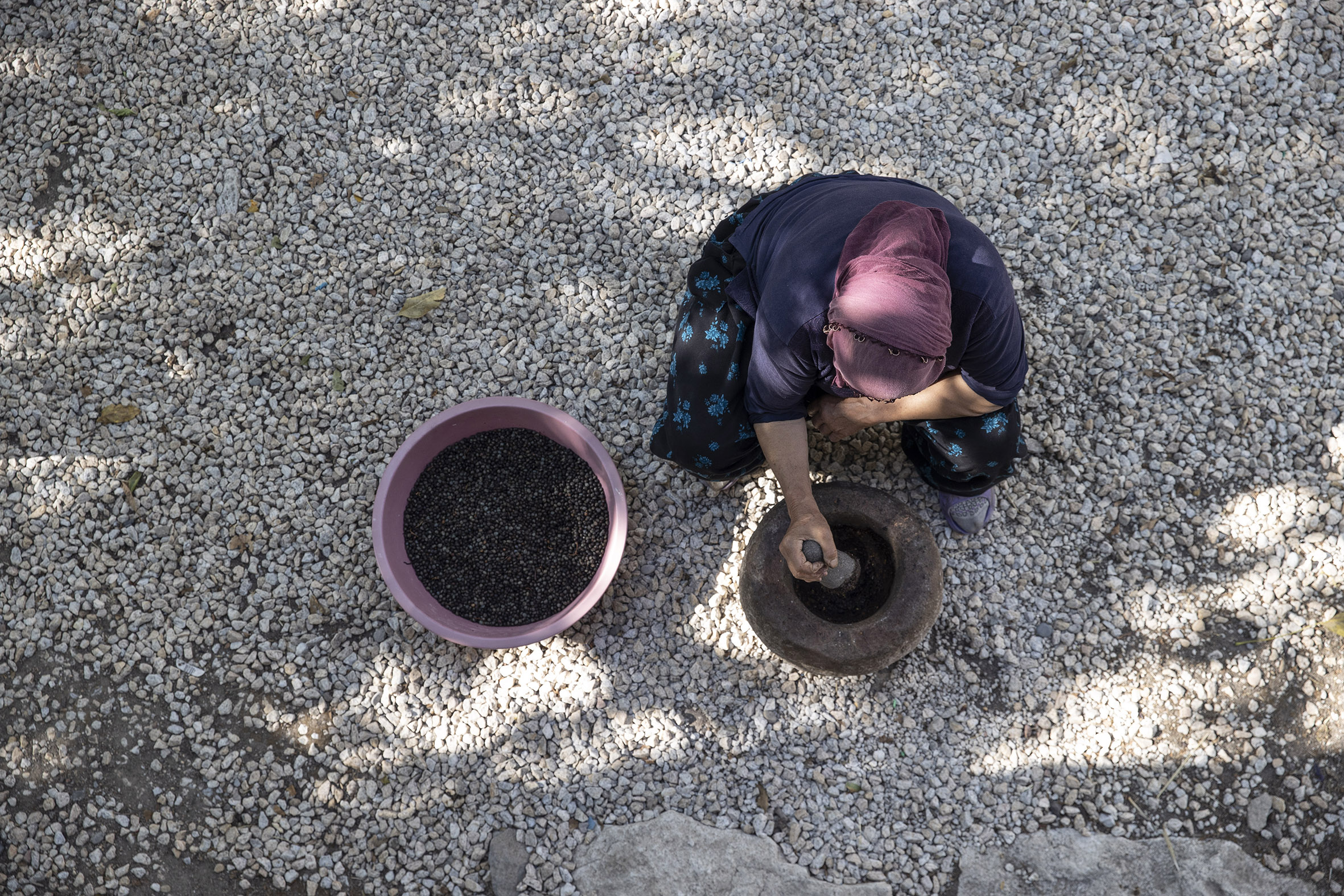 Güz gelince köylüler dağlara çıkıp topluyor! 6