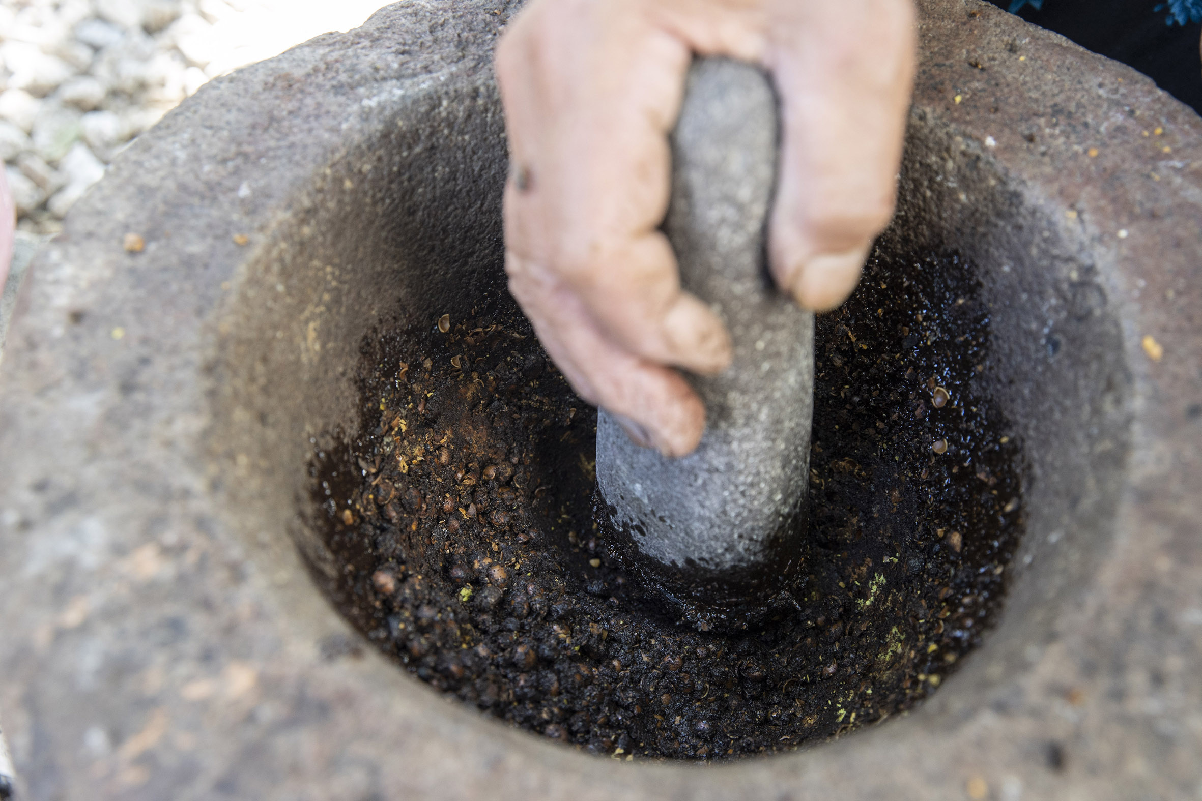 Güz gelince köylüler dağlara çıkıp topluyor! 13