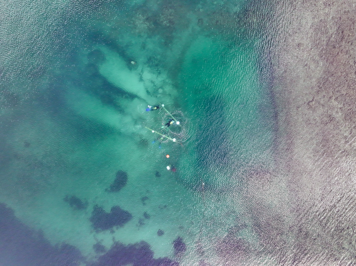 Liman Tepe'de tarih öncesi keşifler devam ediyor 6