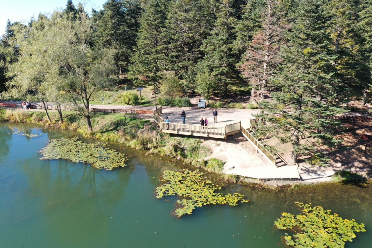 Sonbahar renkleri yolculuğunuza eşlik etsin 2