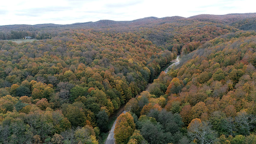 Istranca ormanlarında muhteşem sonbahar manzaraları 2