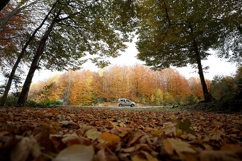 Istranca ormanlarında muhteşem sonbahar manzaraları 12