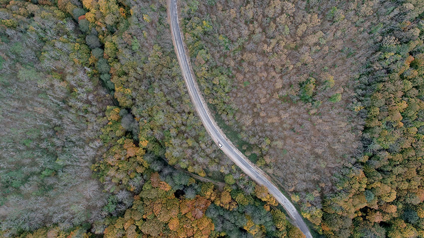 Istranca ormanlarında muhteşem sonbahar manzaraları 5