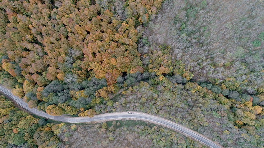 Istranca ormanlarında muhteşem sonbahar manzaraları 4