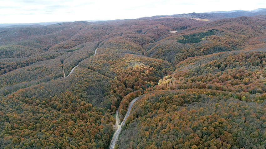 Istranca ormanlarında muhteşem sonbahar manzaraları 3