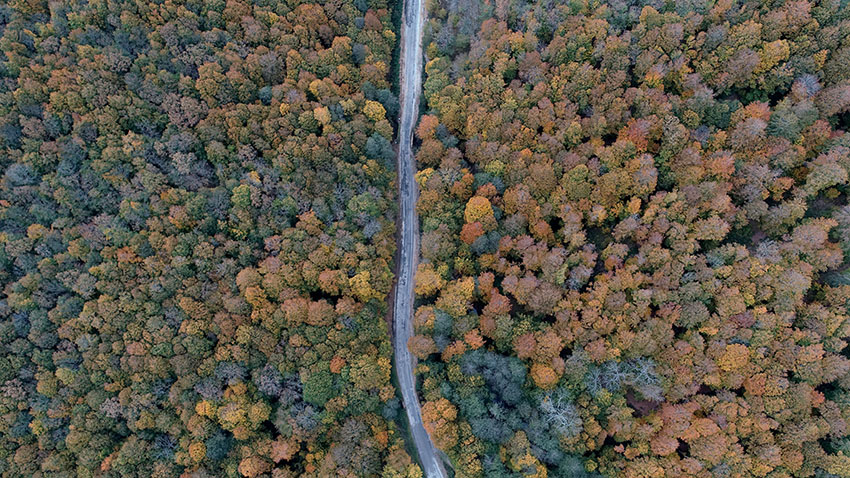 Istranca ormanlarında muhteşem sonbahar manzaraları 7