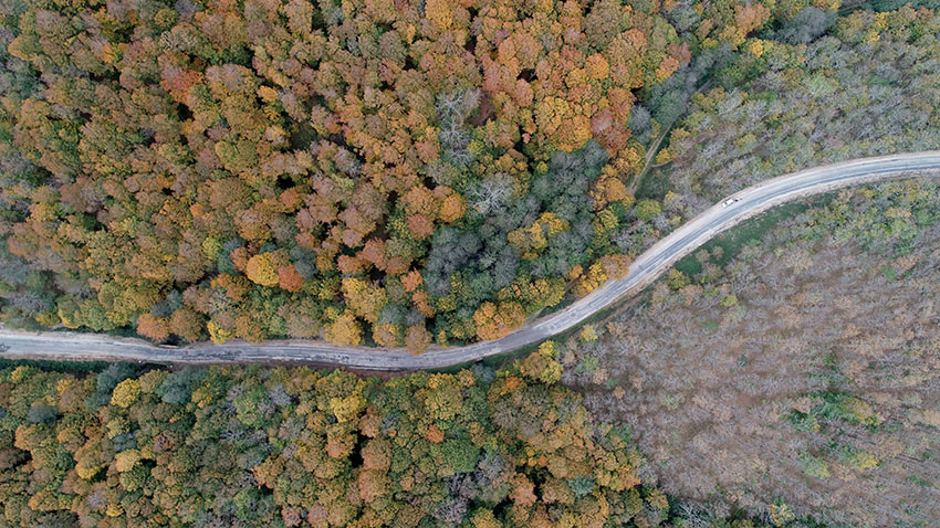 Istranca ormanlarında muhteşem sonbahar manzaraları 6