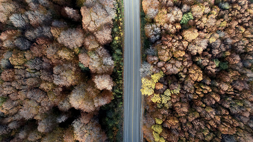 Istranca ormanlarında muhteşem sonbahar manzaraları 8