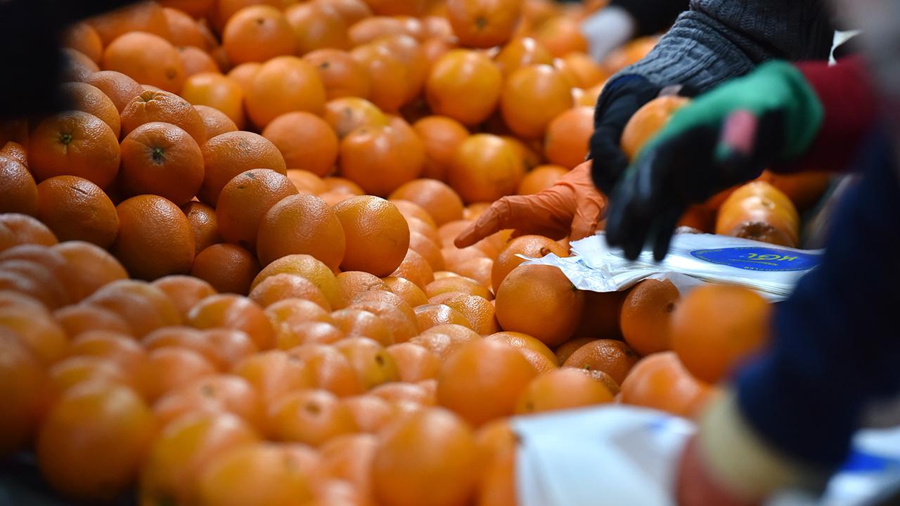 Resmen şifa deposu! Diyabeti önlüyor, böbrekleri temizliyor 14